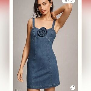 NWT Anthropologie Porridge Rosette Denim Slim Mini Dress